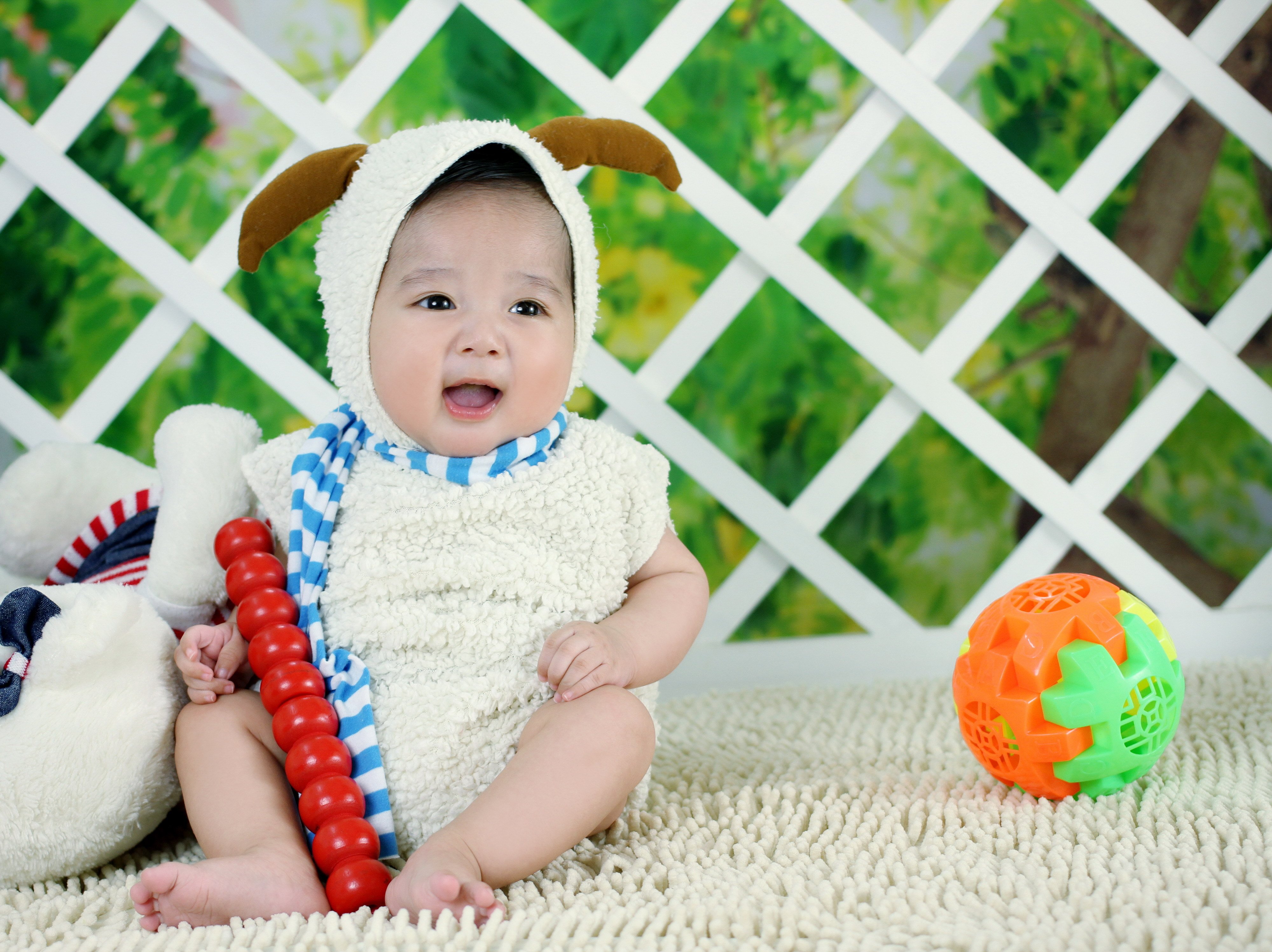 爱心捐卵机构27泰国试管婴儿成功率
